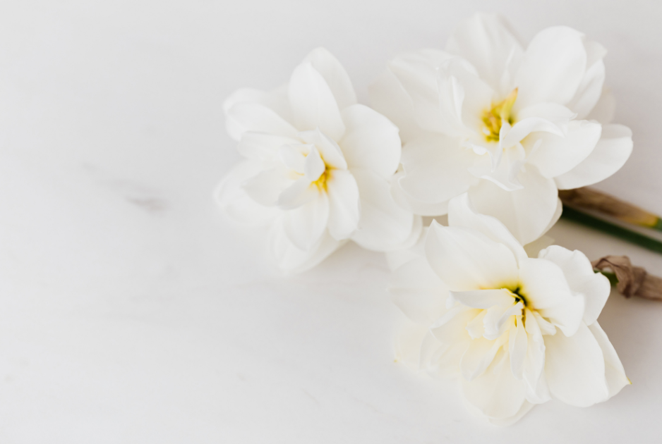 4.2.2 DONATIONS IN LIEU OF GIFTS OR FLOWERS A Meaningful Way to Mark Lifes Moments - Demoucelle Parkinson Charity