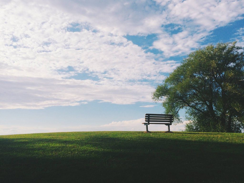 noah silliman EBB45rCSjrU unsplash - Demoucelle Parkinson Charity