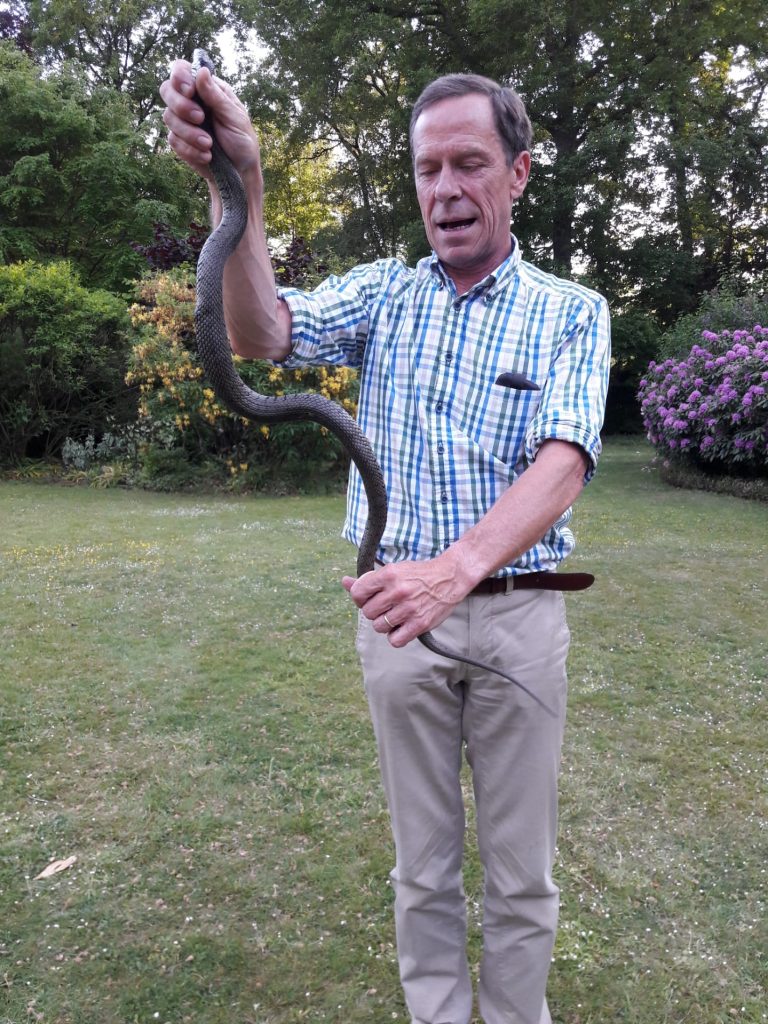 serpent - Demoucelle Parkinson Charity