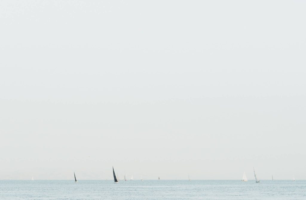 thom milkovic e2RisjiIVSw unsplash - Demoucelle Parkinson Charity