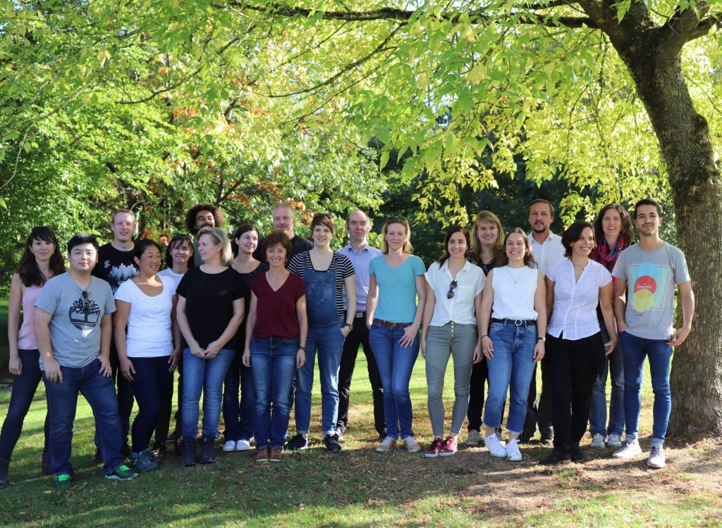 Team-picture