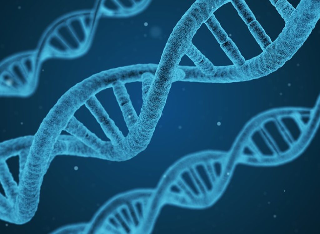 dna-1811955_960_720