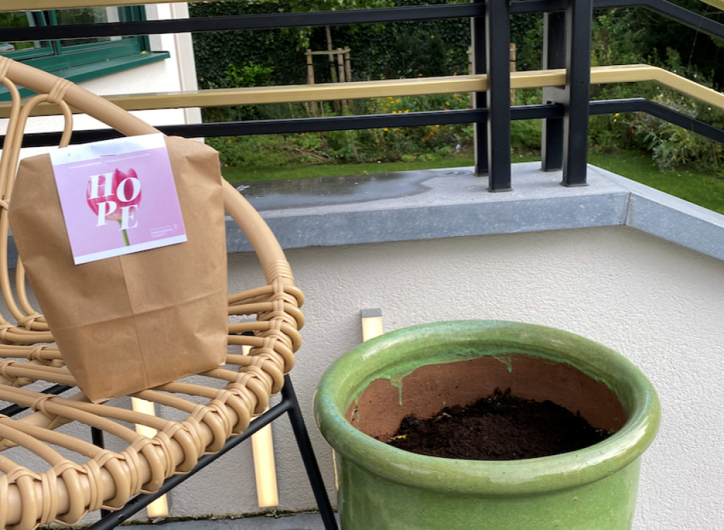 tulip-blog-1
