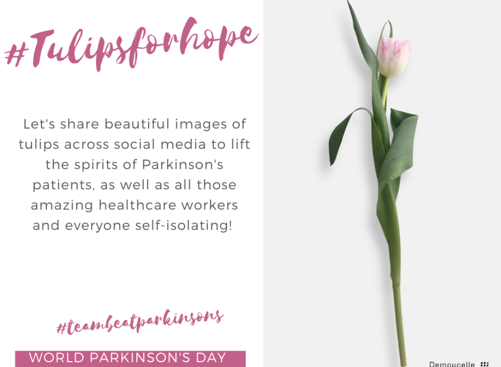 tulipsforhope_1_EN